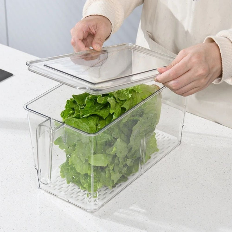 Organizador De Cocina T1229-10