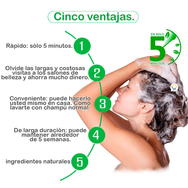 Shampoo Cubre Canas Sobres x10 Tinte Negro 312028