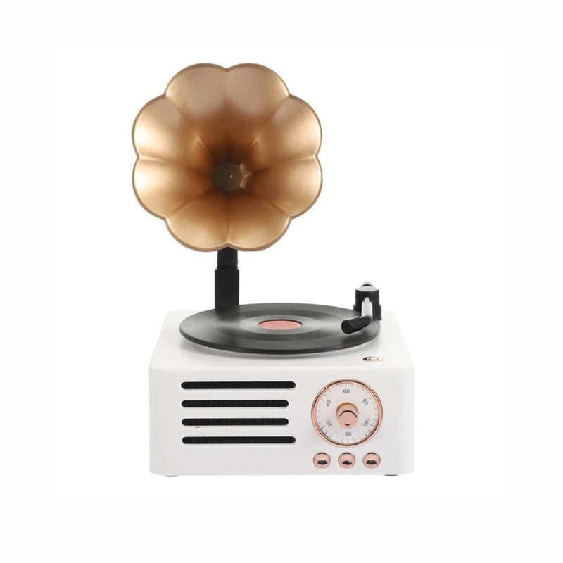 Radio Parlante Bluetooth Diseño Vintage Tocadisco T15