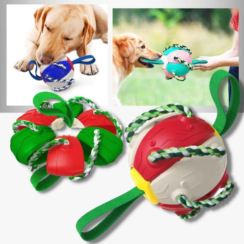 Pelota Frisbee Para Mascotas