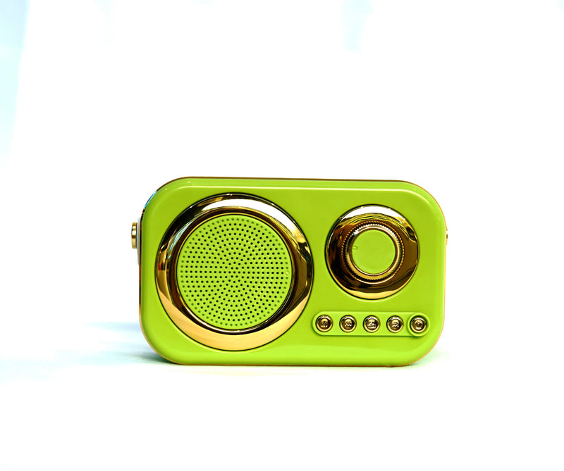 Radio Parlante Vintage ZQS1219