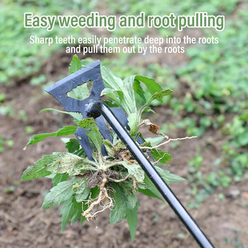 Herramienta manual para eliminar malezas de 5 dientes con mango ergonómico - Herramienta de jardinería de acero al carbono duradera para extraer malezas de manera eficiente, no necesita electricidad, negro, herramienta para extraer malezas, jardinería ma