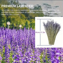 50pcs Flores Secas de Lavanda Natural - Aroma Duradero para Decoración del Hogar, Calmante y Purificador, Perfecto para el Ambiente de la Sala de Estar