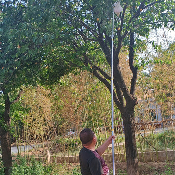 Recogedor de Frutas 2 en 1 con Varilla Telescópica y Bolsa de Malla - Ideal para Caqui, Manzanas, Mangos, Duraznos, Aguacates Naranjas, Sierra de Palo de 230'', Poste Ajustable de 6 Metros, Recolección de Frutas