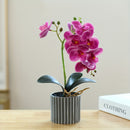 Bonsái Elegante de Orquídea Phalaenopsis de 8 Flores - Planta Artificial Realista en Maceta para Decoración del Hogar, Incluye Maceta