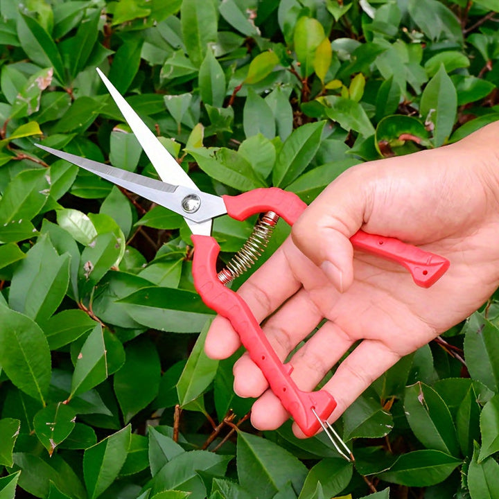 Tijeras de Poda de Acero Inoxidable Extra-Largas - Tijeras de Jardín Versátiles para Bonsái, Espinas, Rosas y Cosecha - Diseño Ergonómico con Funda Protectora, Flores, Hierbas, Frutas, Áreas Densas