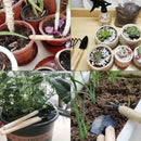 Juego de 3 piezas para jardín, herramientas pequeñas para plantas, palas y macetas, cactus y vegetales, herramientas de excavación y deshierbe, utensilios para interiores