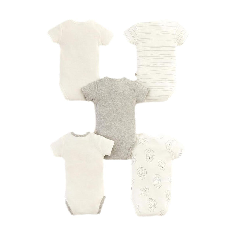 Body Cometa X5 718927 Baby Fresh