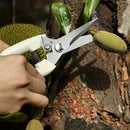 Pack de 2 Tijeras para Jardín Resistentes - Cortaúñas Rectos y de Desvío con Mangos Blancos Ergonómicos, Agarres Antideslizantes y Construcción Duradera para Flores, Plantas, Bonsái, Frutas - Ideales para Jardineros Caseros y Paisajistas Profesionales, H