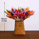 Ramo de 140 piezas de Hierba de Cola de Conejo Seca Multicolor Estilo Boho Chic - Ideal para Decoración del Hogar, Bodas, Fiestas y Festividades (Halloween, Navidad, Pascua, San Valentín, Acción de Gracias)