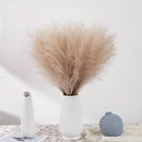 16 piezas de hierba de pampas artificial beige - 54.99 cm de alto, flores de caña de tela suave para decoración del hogar, perfectas para sala de estar, Navidad, Halloween, Pascua, Hanukkah - No necesita contenedor, decoración festiva para mesa|Aparienci