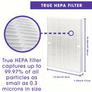 Filtro Premium True HEPA H13 115115 Compatible con Filtro Winix A Tamaño 21 Purificador de Aire Plasma Wave AM90 P300 5300 5500 5300-2 6300-2 6300 C909 9800 C535 - Paquete de 2 + 8