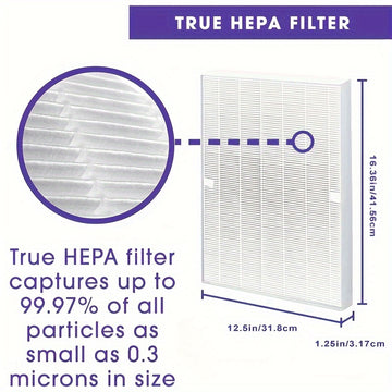 Filtro Premium True HEPA H13 115115 Compatible con Filtro Winix A Tamaño 21 Purificador de Aire Plasma Wave AM90 P300 5300 5500 5300-2 6300-2 6300 C909 9800 C535 - Paquete de 2 + 8
