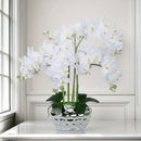 5 Piezas de Orquídeas Mariposa Blancas Elegantes Artificiales - Ideales para Hogar, Oficina, Bodas y Hoteles - Decoración para San Valentín, Día de la Madre y Aniversarios - Sin Contenedor Incluido - Decoración de Verano - Material Plástico - Para Mesas