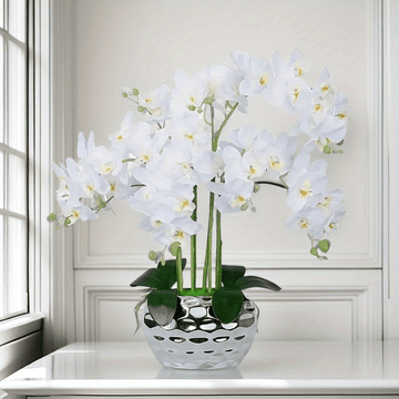 5 Piezas de Orquídeas Mariposa Blancas Elegantes Artificiales - Ideales para Hogar, Oficina, Bodas y Hoteles - Decoración para San Valentín, Día de la Madre y Aniversarios - Sin Contenedor Incluido - Decoración de Verano - Material Plástico - Para Mesas