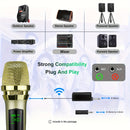 Conjunto de Micrófono sin varillas Dual con Receptor Recargable y Salida 1/4", Plug and Play para Karaoke y Canto