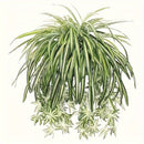 4pcs Grandes Orquídeas Artificiales Colgantes - Perfectas para el Hogar, Jardín, Oficina y Decoración de Bodas, Decoración Interior, Plantas Artificiales