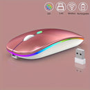 Ratón inalámbrico recargable, con luz LED, ergonómico y portátil, con función de doble modo 2.4G/5.0, botón silencioso, batería recargable incorporada, adecuado para ambas manos, estable y suave, baja latencia, apto para juegos, oficina y entretenimiento