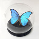 Cubierta de Domo de Vidrio con Base de Madera Maciza - Protector Transparente Antipolvo para Mesas en Decoración del Hogar, Oficina, Jardines en Miniatura y Terrarios - Diseño Moderno Minimalista , Protección para Terrario | Decoración Minimalista Modern