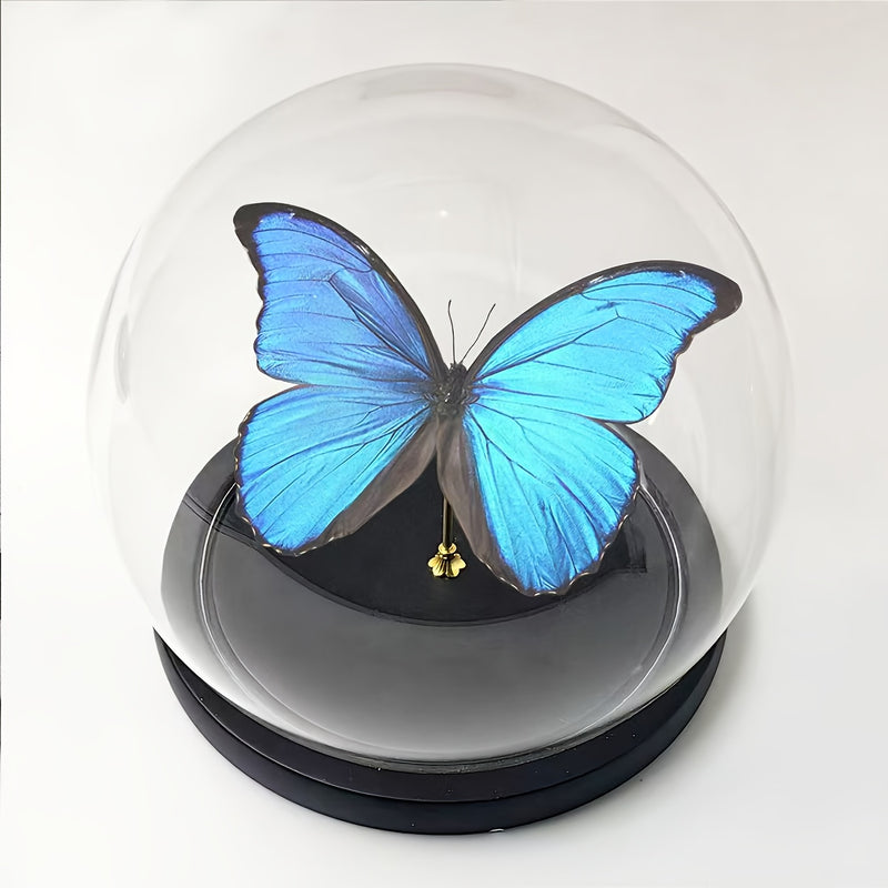 Cubierta de Domo de Vidrio con Base de Madera Maciza - Protector Transparente Antipolvo para Mesas en Decoración del Hogar, Oficina, Jardines en Miniatura y Terrarios - Diseño Moderno Minimalista , Protección para Terrario | Decoración Minimalista Modern
