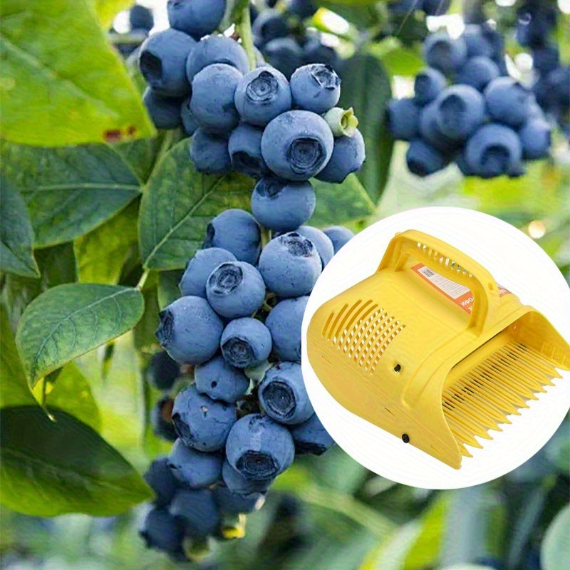 1pc Recolector Manual Portátil de Arándanos - Cosechadora de Frutas Resistente con Construcción Ligera y No Tóxica en Plástico, Ramas Suaves - Ideal para Huertos, Granjas y Jardines Domésticos - Herramienta Fácil de Limpiar para Bayas, Cerezos, Fresas -