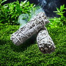 Un conjunto de 3 palos de salvia blanca y salvia para difusión, destinados a fragancia de limpieza del hogar, decoración del hogar, aromaterapia, ceremonia de difusión, regalo de vacaciones
