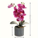 Bonsái Elegante de Orquídea Phalaenopsis de 8 Flores - Planta Artificial Realista en Maceta para Decoración del Hogar, Incluye Maceta