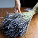 50pcs Flores Secas de Lavanda Natural - Aroma Duradero para Decoración del Hogar, Calmante y Purificador, Perfecto para el Ambiente de la Sala de Estar