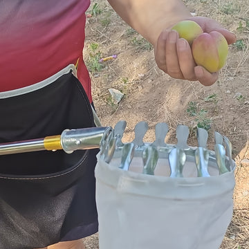 Recogedor de Frutas 2 en 1 con Varilla Telescópica y Bolsa de Malla - Ideal para Caqui, Manzanas, Mangos, Duraznos, Aguacates Naranjas, Sierra de Palo de 230'', Poste Ajustable de 6 Metros, Recolección de Frutas