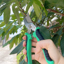 Tijeras de poda de ramas de frutas de acero inoxidable de varios colores, tijeras de jardín, podadores multifuncionales, herramientas de bonsái al aire libre para jardinería