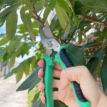 Tijeras de poda de ramas de frutas de acero inoxidable de varios colores, tijeras de jardín, podadores multifuncionales, herramientas de bonsái al aire libre para jardinería