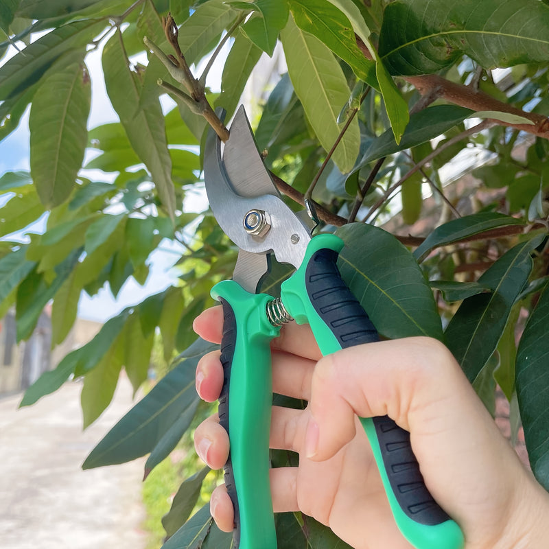 Tijeras de poda de ramas de frutas de acero inoxidable de varios colores, tijeras de jardín, podadores multifuncionales, herramientas de bonsái al aire libre para jardinería