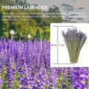 50pcs Flores Secas de Lavanda Natural - Aroma Duradero para Decoración del Hogar, Calmante y Purificador, Perfecto para el Ambiente de la Sala de Estar