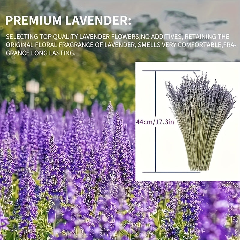 50pcs Flores Secas de Lavanda Natural - Aroma Duradero para Decoración del Hogar, Calmante y Purificador, Perfecto para el Ambiente de la Sala de Estar
