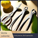 Tenazas de Acero Inoxidable 420 para Podar Bonsáis, Tijeras de Jardinería con Corte Diagonal y Mango Ergonómico para Cortes Precisos en Raíces y Ramas