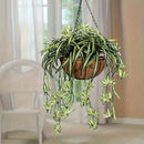 4pcs Grandes Orquídeas Artificiales Colgantes - Perfectas para el Hogar, Jardín, Oficina y Decoración de Bodas, Decoración Interior, Plantas Artificiales