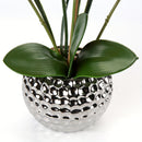 1pc Planta De Flor Artificial Orquídea, Falsa Orquídea Con Maceta Plateada En Forma De Bola Redonda, Planta Falsa Para Decoración De Mesa De Baño, Sala De Estar, Oficina, Cocina, Decoración De Mesa De Hogar De Primavera Y Año Nuevo