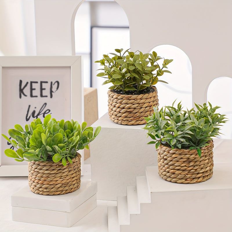 Juego de 3 Piezas de Plantas Artificiales de Eucalipto y Lavanda en Macetas - Decoraciones de Buxo Falso, Romero y Planta Dinero para el Hogar, Oficina y Jardín - Perfectas para Exhibición en Mesas, Fiestas y Decoración Estacional