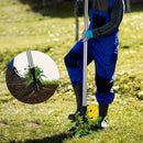 Herramienta manual para eliminar malezas de acero inoxidable - Mango ergonómico, diseño sin doblar para una eficiente eliminación de raíces, herramienta duradera para jardinería y cuidado de césped con construcción sólida, cortadora de malezas, mantenimi