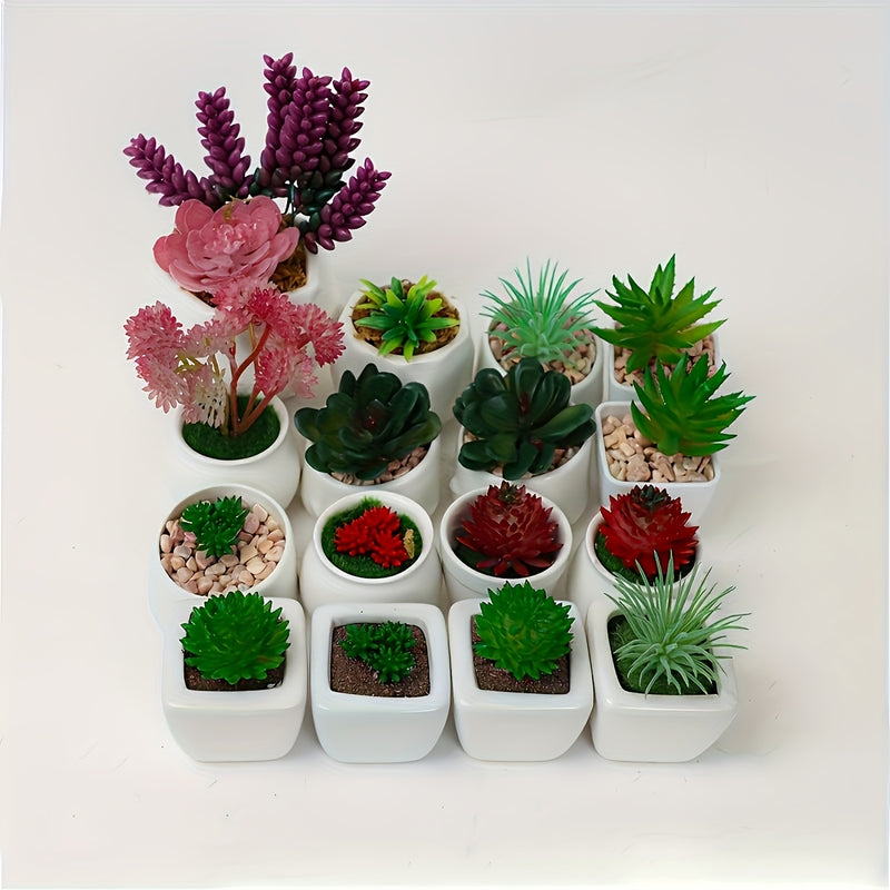 27 piezas de combinación de suculentas mini DIY, muebles de exhibición para cocina y sala de estar, decoración interior creativa al aire libre, bonsái, planta verde, primavera, otoño, Acción de Gracias, festival de cosecha (excluyendo contenedores)
