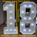 1 pieza Estilo Orejas de Conejo con Marco Numérico 0-9 para 73-93cm / 28.74-36.6 pulgadas con Cadena de Luces Blanca de 8 Luces/10 Luces/12 Luces