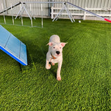 1pc Césped Artificial, Decoración de Jardín y Parque Infantil, Decoración de Mesa para Fiestas al Aire Libre, Alfombra de Entrenamiento para Mascotas, Césped Paisajístico para el Patio Trasero, 78.74/118.11/157.48*38.58 Pulgadas