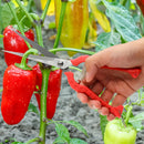 Tijeras de Poda de Acero Inoxidable Extra-Largas - Tijeras de Jardín Versátiles para Bonsái, Espinas, Rosas y Cosecha - Diseño Ergonómico con Funda Protectora, Flores, Hierbas, Frutas, Áreas Densas