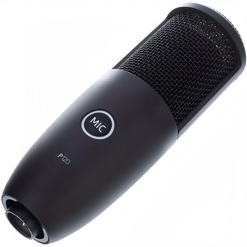 120 Micrófono de condensador profesional negro con conector XLR - Alta sensibilidad para transmisión en vivo, grabación de voz, estudio en casa y clases en línea, grabación de voz, diseño elegante, construcción duradera