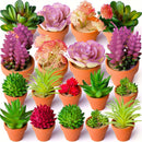 27 Plantas Suculentas Artificiales en Miniatura Sin Macetas: Tallos de Cactus Plásticos Realistas para Terrario, Variedad Pequeña de Verduras Sintéticas con Piedras Preciosas