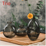 Conjunto de 3 jarrones de vidrio modernos, jarrón redondo decorativo transparente para hidroponía y flores secas, trío de pequeños jarrones de vidrio de lujo creativos, elegante exhibición para la mesa.