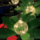 Luces Micro Led 3 M Burbuja X10 Bombillos Navidad JN34A