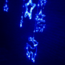 Cortina Intercalada 3M Renos y Estrellas 130 LEDS Navidad 1747