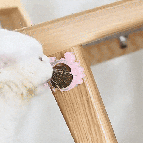 Juguete Para Gatos Anti Estrés Bola Giratoria Hierba Gatera Catnip AHY03
