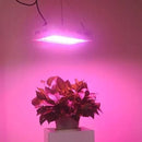 Panel Foco Led Cultivo Interior 1000w Potencia Indoor